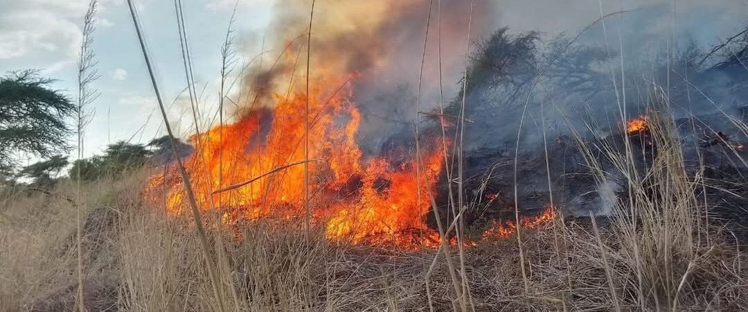 Wildfires Rage in Isiolo County for the Fifth Day, Over 190,000 Acres Destroyed