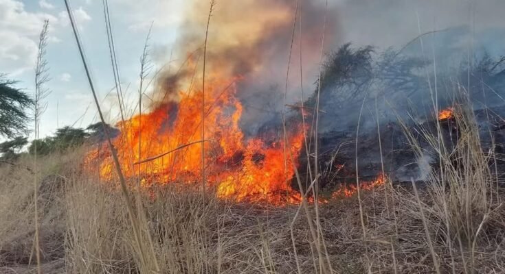 Wildfires Rage in Isiolo County for the Fifth Day, Over 190,000 Acres Destroyed