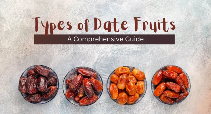 The Magical Benefits of Dates: A Superfood for Your Health