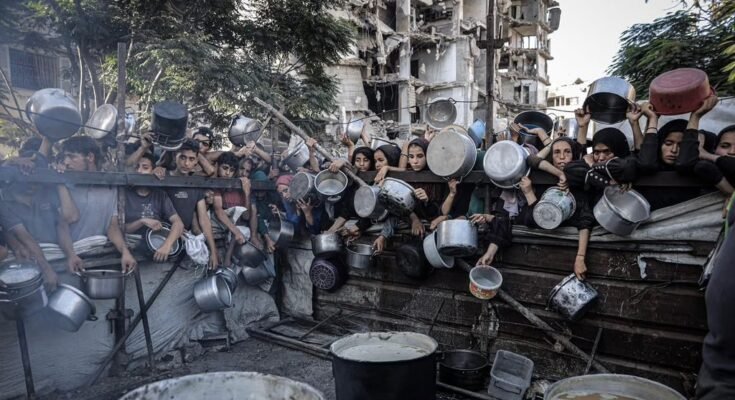 Gaza on the Brink: Over a Million People on the Verge of Famine Amid Aid Blockade