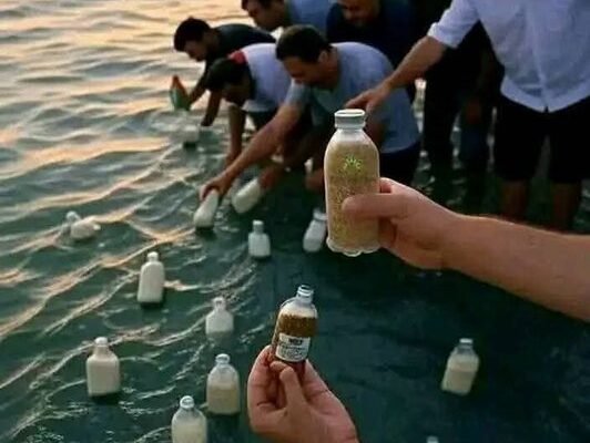 A Bottle of Hope for Gaza: Egyptians Turn to the Sea in a Symbolic Act of Solidarity