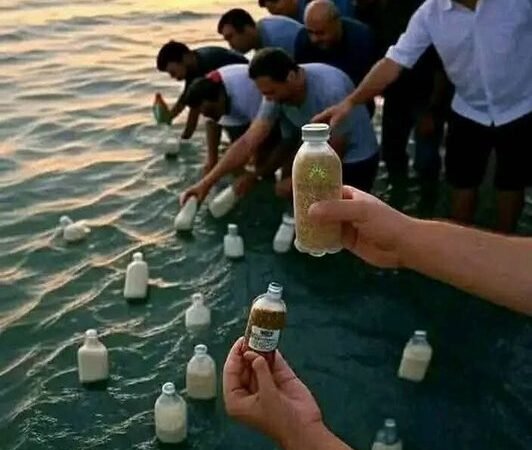 A Bottle of Hope for Gaza: Egyptians Turn to the Sea in a Symbolic Act of Solidarity