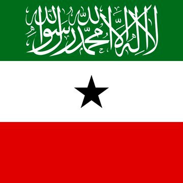 Somaliland Offers U.S. Naval Base and Rare Earth Access in Exchange for Recognition